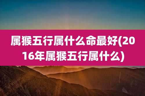 属猴五行属什么命最好(2016年属猴五行属什么)