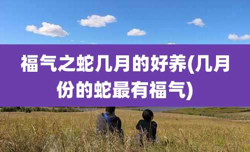 福气之蛇几月的好养(几月份的蛇最有福气)