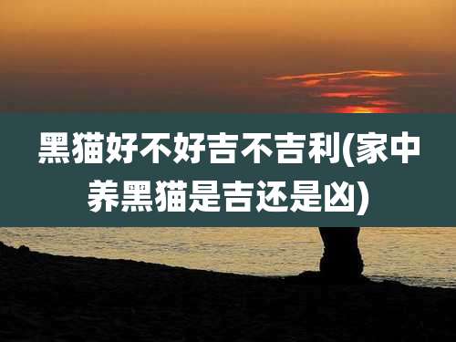 黑猫好不好吉不吉利(家中养黑猫是吉还是凶)