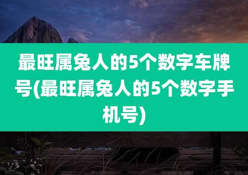 最旺属兔人的5个数字车牌号(最旺属兔人的5个数字手机号)