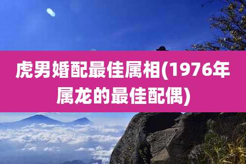 虎男婚配最佳属相(1976年属龙的最佳配偶)