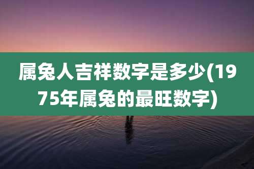 属兔人吉祥数字是多少(1975年属兔的最旺数字)