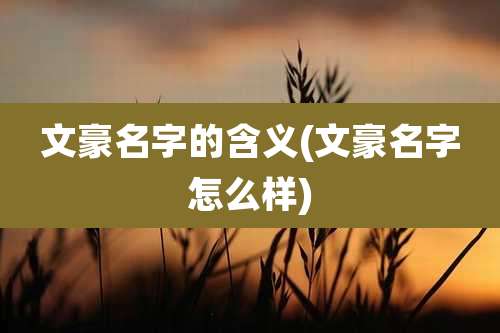 文豪名字的含义(文豪名字怎么样)