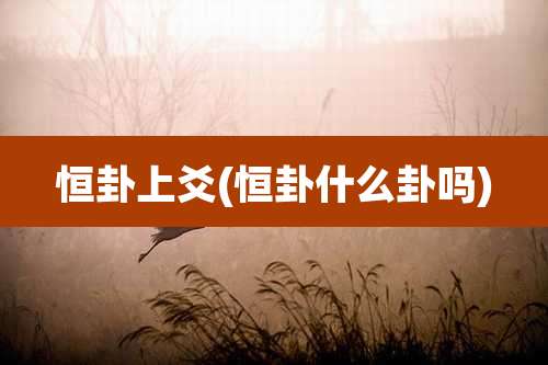 恒卦上爻(恒卦什么卦吗)