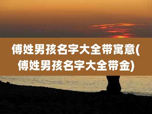 傅姓男孩名字大全带寓意(傅姓男孩名字大全带金)