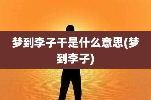 梦到李子干是什么意思(梦到李子)