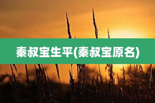 秦叔宝生平(秦叔宝原名)