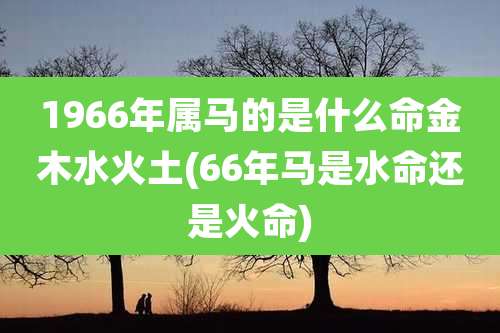 1966年属马的是什么命金木水火土(66年马是水命还是火命)