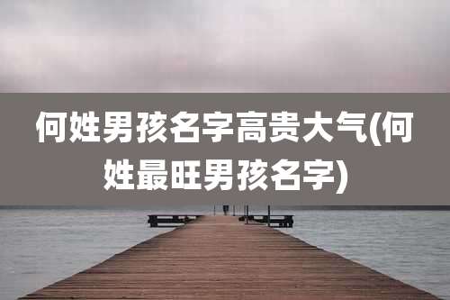 何姓男孩名字高贵大气(何姓最旺男孩名字)