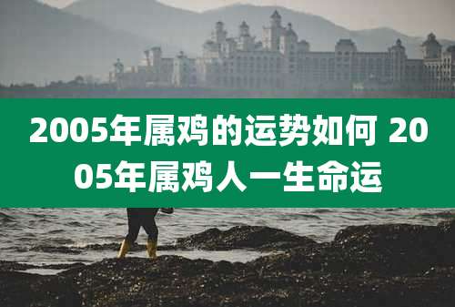 2005年属鸡的运势如何 2005年属鸡人一生命运