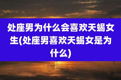 处座男为什么会喜欢天蝎女生(处座男喜欢天蝎女是为什么)