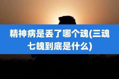 精神病是丢了哪个魂(三魂七魄到底是什么)