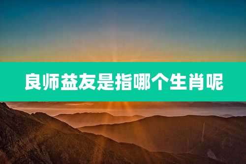 良师益友是指哪个生肖呢