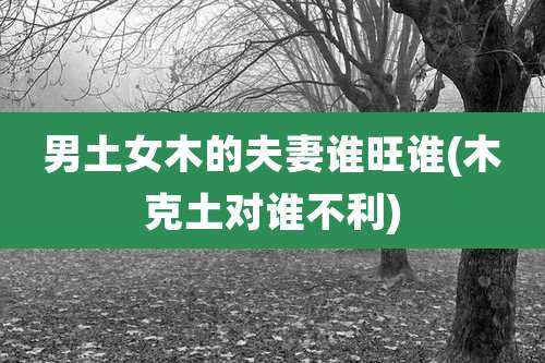 男土女木的夫妻谁旺谁(木克土对谁不利)