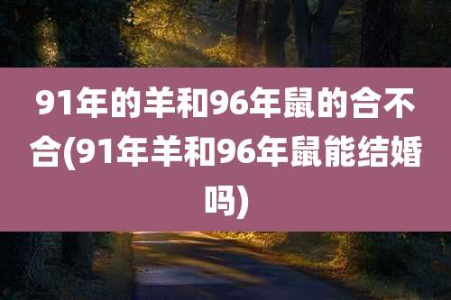 91年的羊和96年鼠的合不合(91年羊和96年鼠能结婚吗)