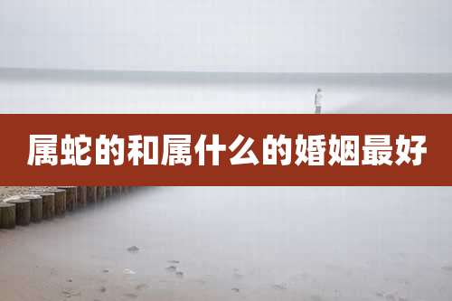 属蛇的和属什么的婚姻最好