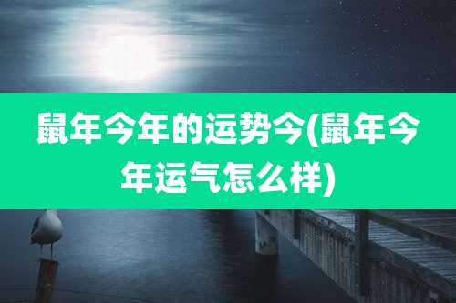 鼠年今年的运势今(鼠年今年运气怎么样)