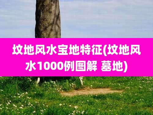 坟地风水宝地特征(坟地风水1000例图解 墓地)