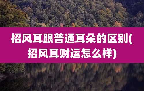 招风耳跟普通耳朵的区别(招风耳财运怎么样)