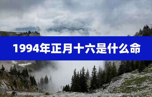 1994年正月十六是什么命