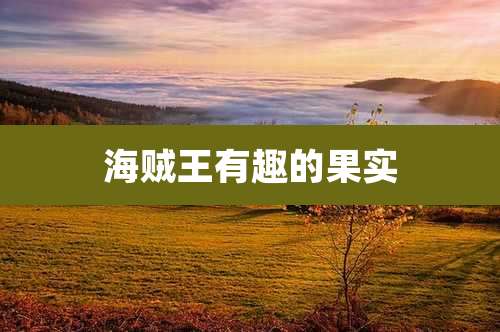 海贼王有趣的果实