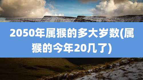 2050年属猴的多大岁数(属猴的今年20几了)