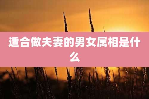 适合做夫妻的男女属相是什么