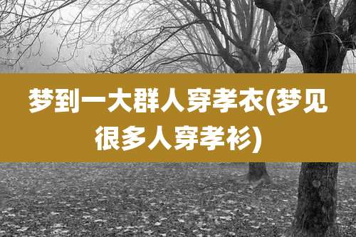 梦到一大群人穿孝衣(梦见很多人穿孝衫)