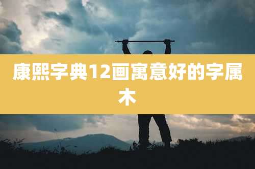 康熙字典12画寓意好的字属木