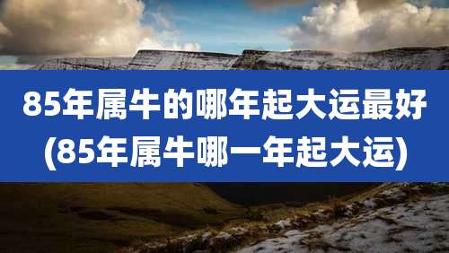 85年属牛的哪年起大运最好(85年属牛哪一年起大运)