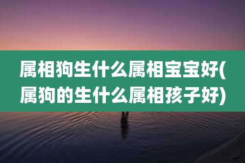属相狗生什么属相宝宝好(属狗的生什么属相孩子好)