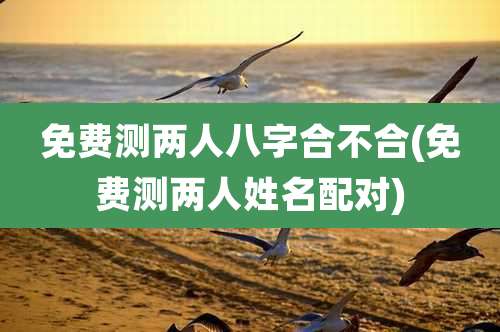 免费测两人八字合不合(免费测两人姓名配对)