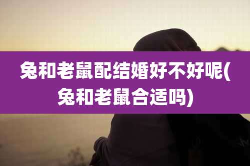 兔和老鼠配结婚好不好呢(兔和老鼠合适吗)