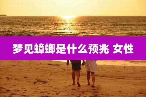 梦见蟑螂是什么预兆 女性