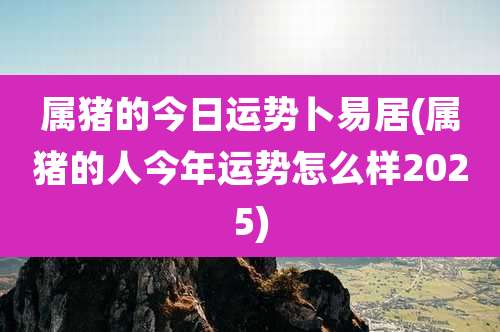 属猪的今日运势卜易居(属猪的人今年运势怎么样2025)