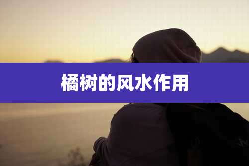 橘树的风水作用