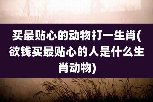 买最贴心的动物打一生肖(欲钱买最贴心的人是什么生肖动物)