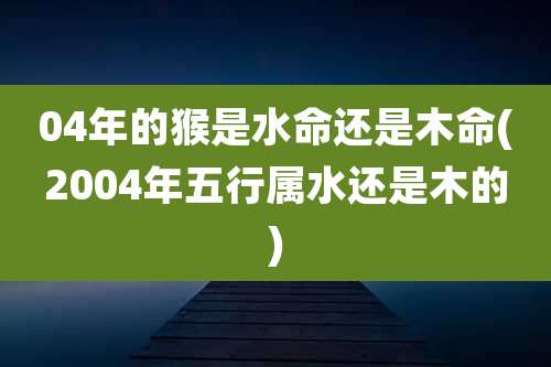 04年的猴是水命还是木命(2004年五行属水还是木的)