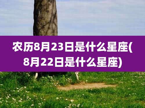 农历8月23日是什么星座(8月22日是什么星座)