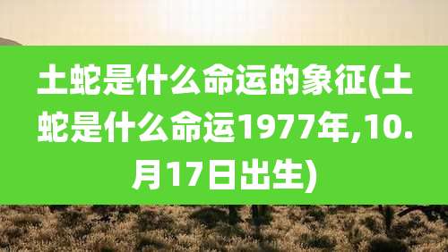 土蛇是什么命运的象征(土蛇是什么命运1977年,10.月17日出生)