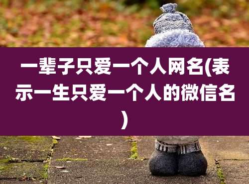 一辈子只爱一个人网名(表示一生只爱一个人的微信名)