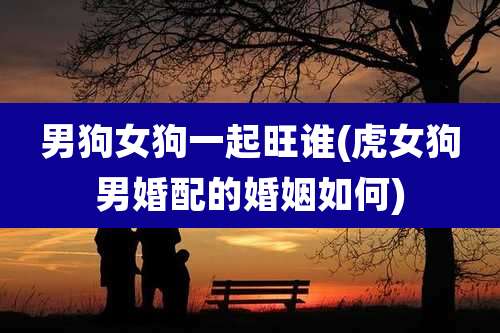 男狗女狗一起旺谁(虎女狗男婚配的婚姻如何)