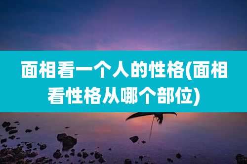 面相看一个人的性格(面相看性格从哪个部位)