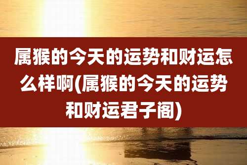 属猴的今天的运势和财运怎么样啊(属猴的今天的运势和财运君子阁)