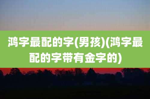 鸿字最配的字(男孩)(鸿字最配的字带有金字的)