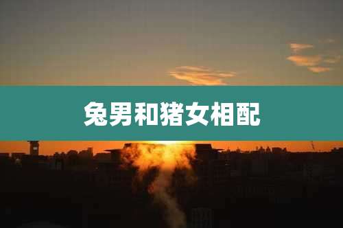 兔男和猪女相配