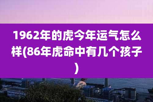 1962年的虎今年运气怎么样(86年虎命中有几个孩子)