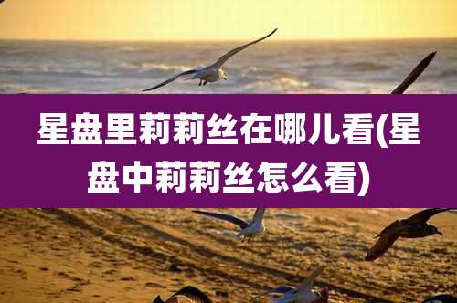 星盘里莉莉丝在哪儿看(星盘中莉莉丝怎么看)