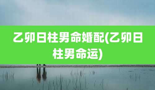 乙卯日柱男命婚配(乙卯日柱男命运)