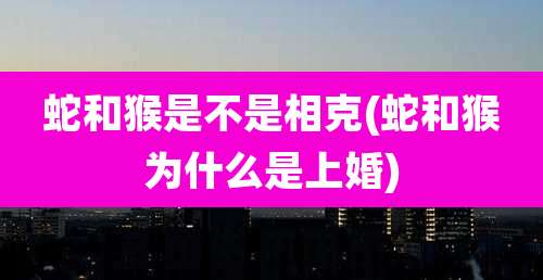蛇和猴是不是相克(蛇和猴为什么是上婚)